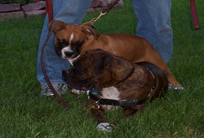 Riley_loves_Max_