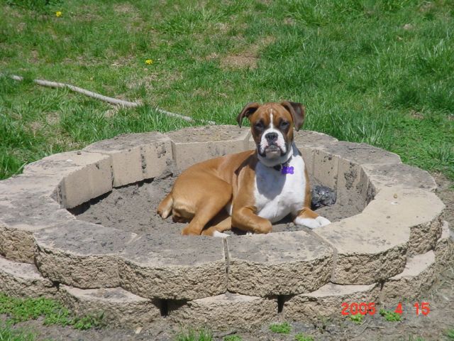 riley's fire pit