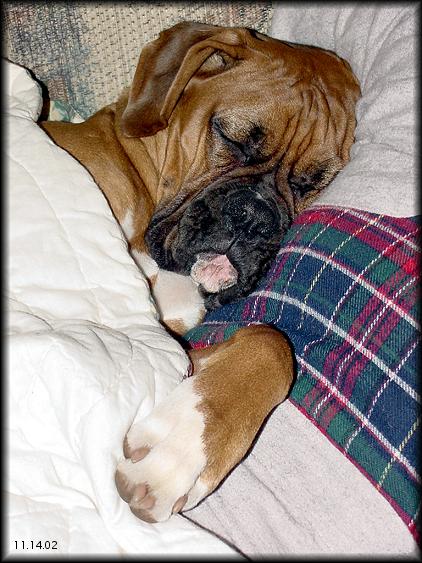 Riley's still under the weather.
