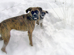 Rita and Lola