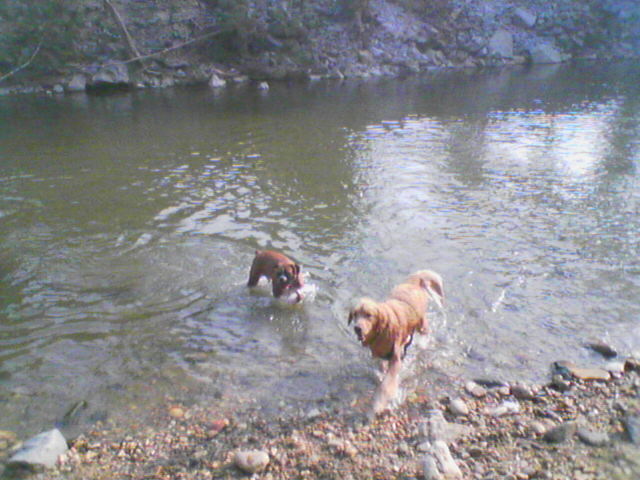River