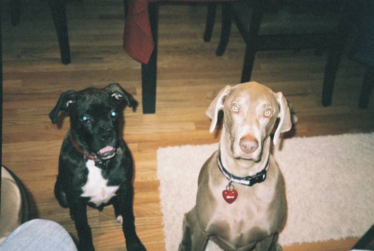Rocco and Maddy