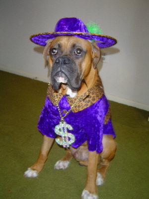 Rocco being P.I.M.P.