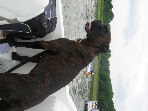 Rocco's 1st Boat outing