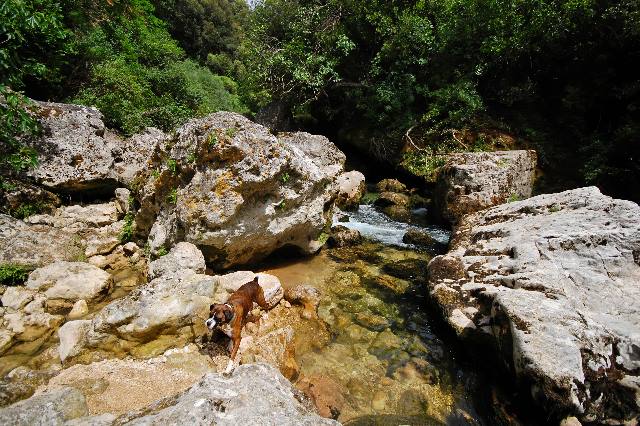 Rock hopping