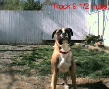 Rock