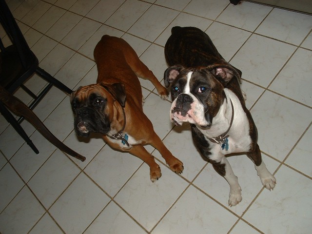 rock_and_buster2