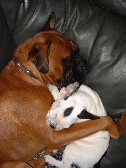 rock_and_quinn