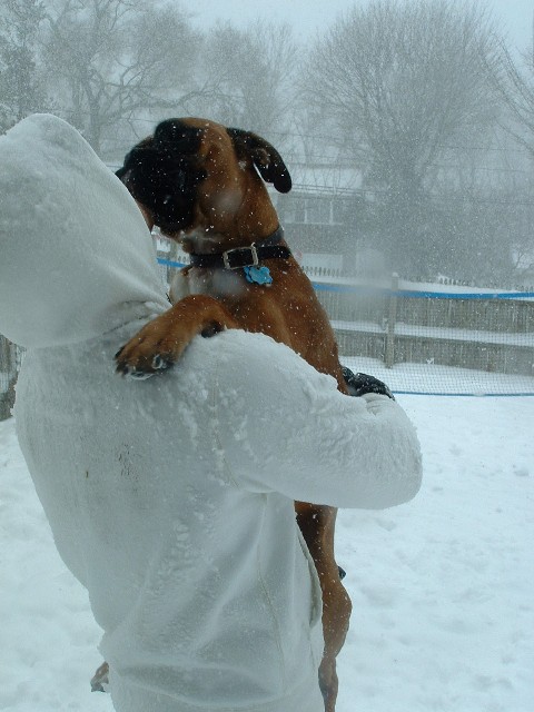 rock_in_the_snow2