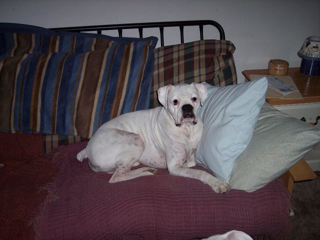 rockcouch