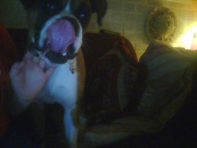 Rockie stickin his tongue at the camera lol