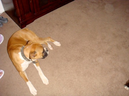 Rocky 12/20/08