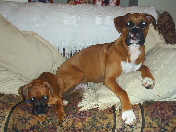 Rocky and Jackson