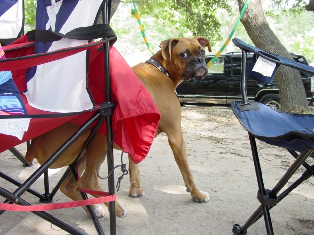 Rocky just had to sit and take a load off!!