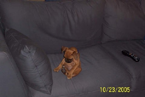 Rocky looking at his feet