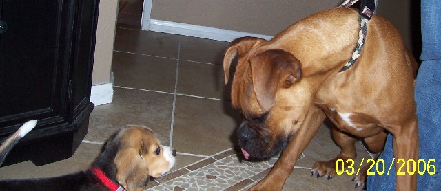 Rocky meets Molly