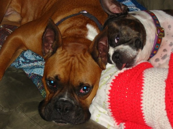 Rocky & Mia