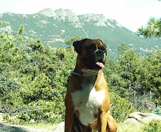 Rocky Mountain High