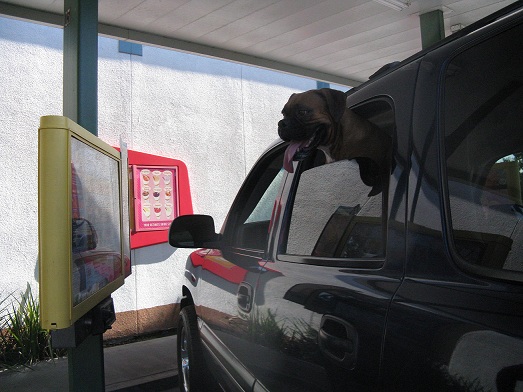 Rocky ordering @ Sonic Burger