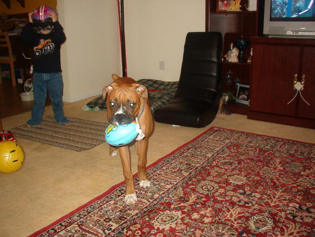 Rocky playing football
