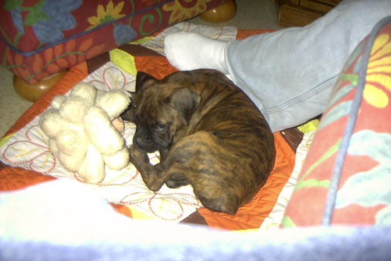 Rocky, So innocent