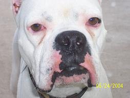 Rocky Up Close and Personal