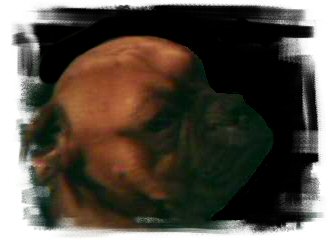 Rocky =]