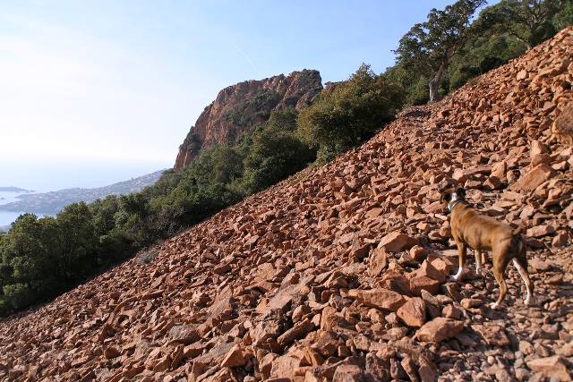 Rocky