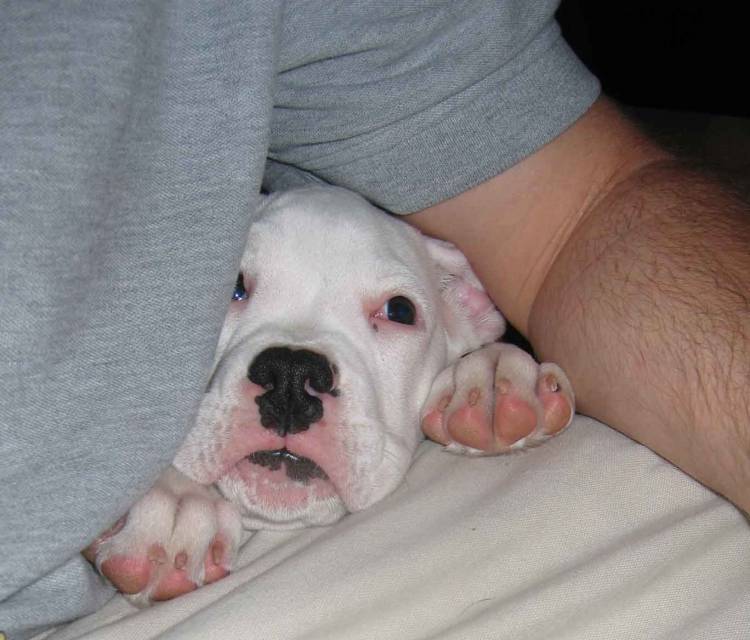 Rocky2