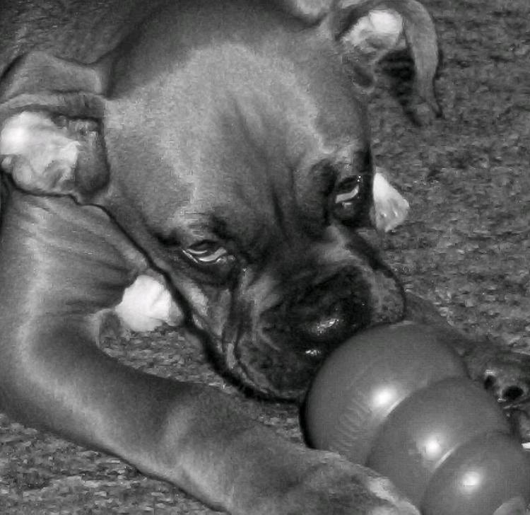 ROCKY3