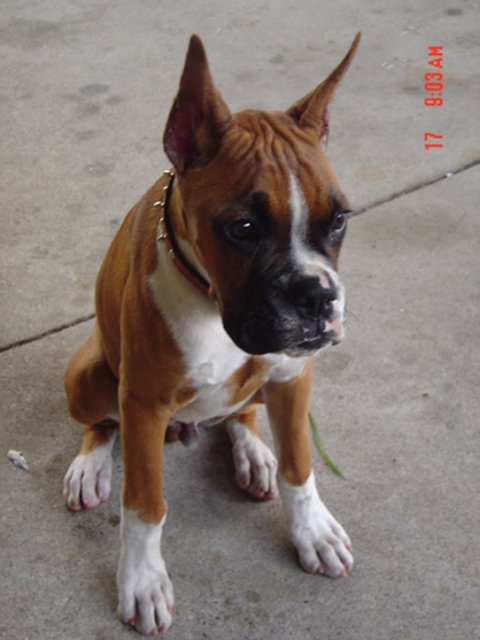 rocky_025
