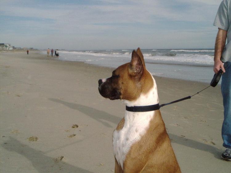 Rocky_Beach_4