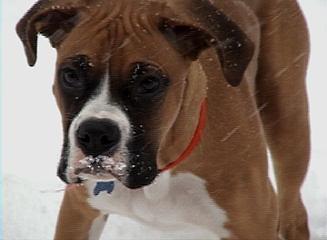 Rockys first snow day