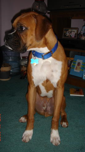 Rocky's good side