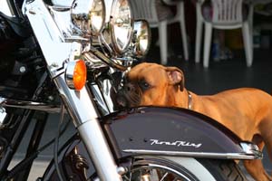 Rockys Harley Road King