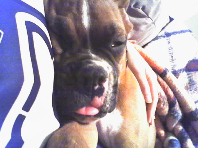 Rocky's Togue