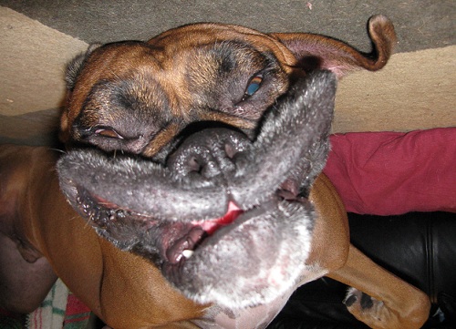 Rocky's upside down smiley face