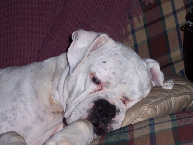 rockysleep