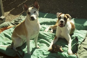 RockyTara20058