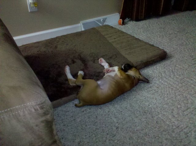 Rollover