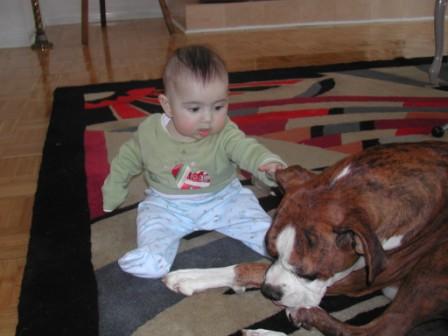 Romans and Boxers - Lend me your ears