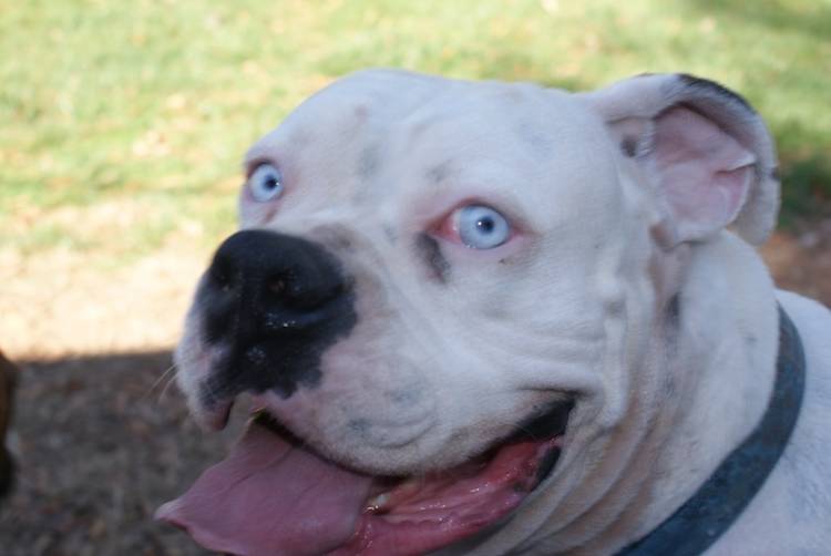 Romeo up close