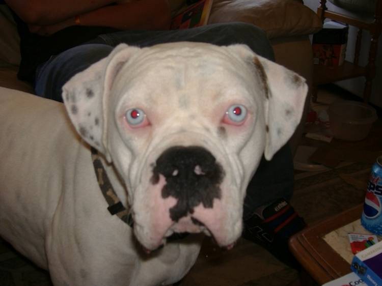 Romeo up close