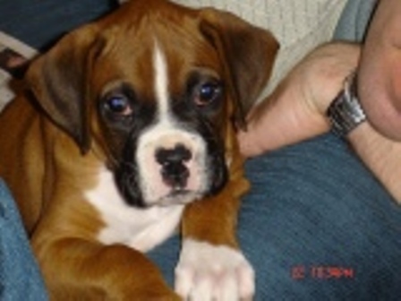 Romeo
