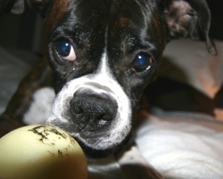 Romy and Her Glow-Ball