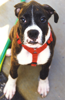 Romy at Six Months
