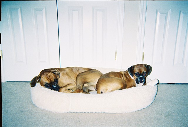 Room for two.