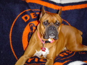 Rooting for the home team.