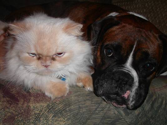 Rosco and Gizmo