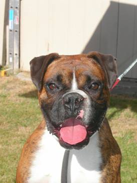 Rosco August 2005